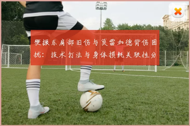 樊振东肩部旧伤与莫雷加德背伤困扰：技术打法与身体损耗关联性分析